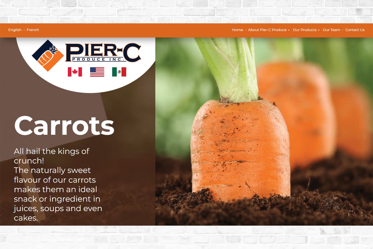 Pier-C Website Design